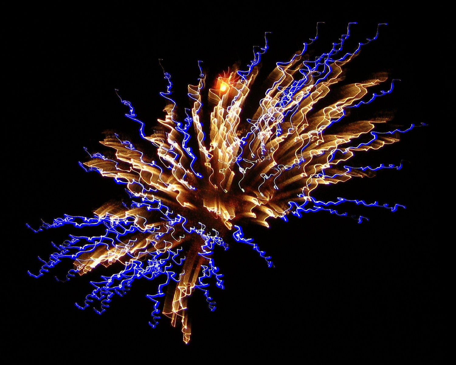 Spider -16"x20"  Digital Photograph of a Firework Display in Lemont, IL July 3, 2010 - AlsCoolStuff