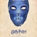 Harry Potter and the Order of the Phoenix 27x40 (Theatrical Size) Movie Poster