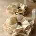 Burlap Magnetic Tie Backs Flowers