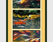 Zen Koi Colorful Trio 5x7 Original Fine Art Set of Three Photography