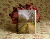 Footpath, Church Road, Ham Common (Free UK P&P): GREETING CARD