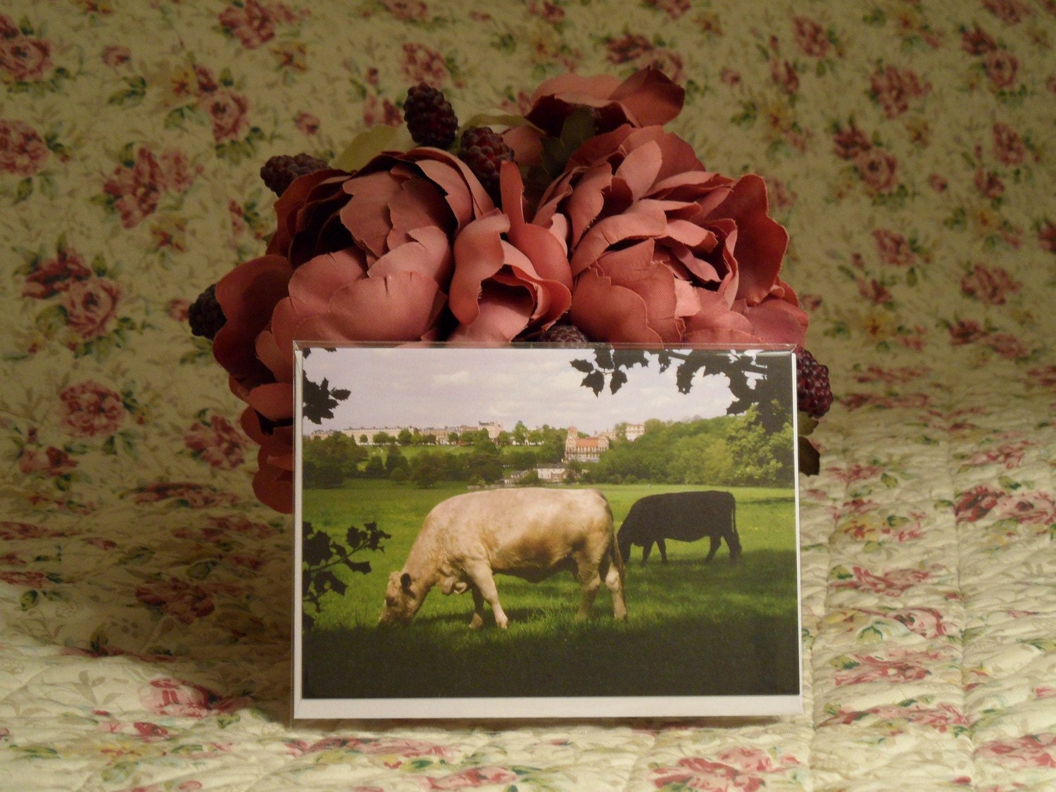 Two Cows, Petersham Meadows, Richmond (Free UK post & packaging): GREETING CARD