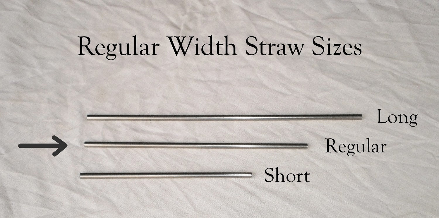 Stainless Steel Straws Regular Style - 4 Pack - Reusable and Eco Friendly - Lifetime Guarantee