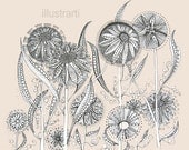 Print Fantasy Flower Garden from an original drawing