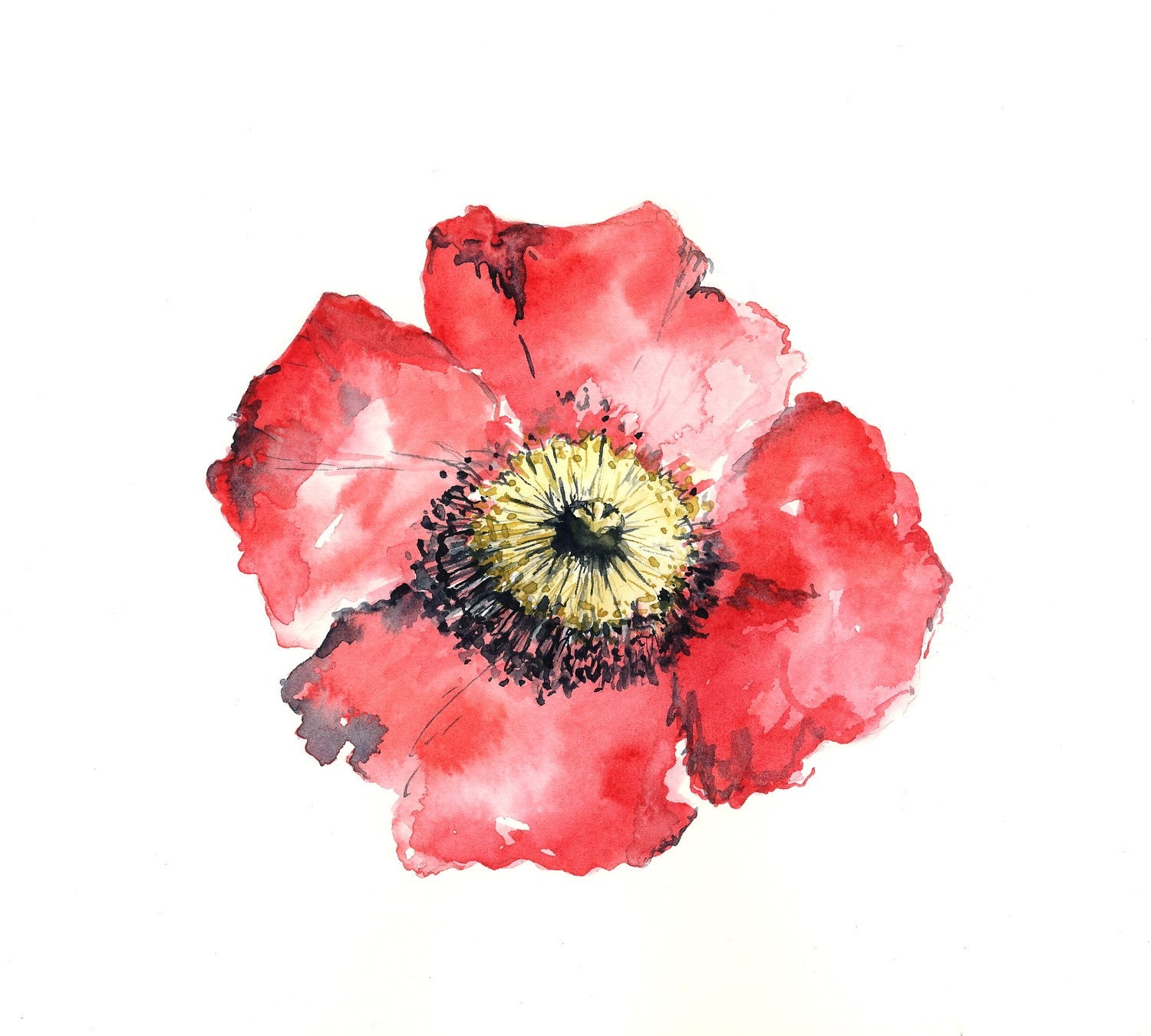 poppy watercolor giclee print // RED // 8x10 - art print -- home decor