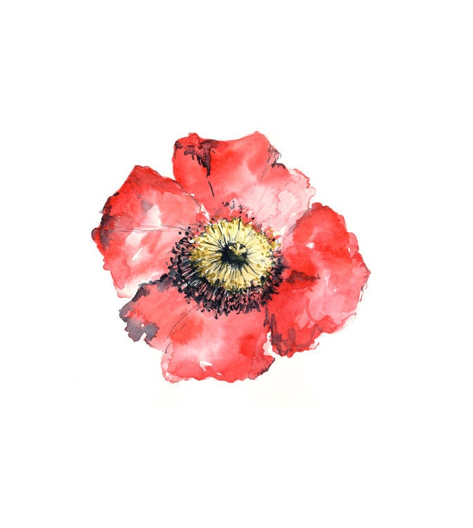 poppy watercolor giclee print // RED // 8x10 - art print -- home decor