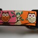 Owl Dog Collar- Cute Hoot 1" Wide Pink & Orange