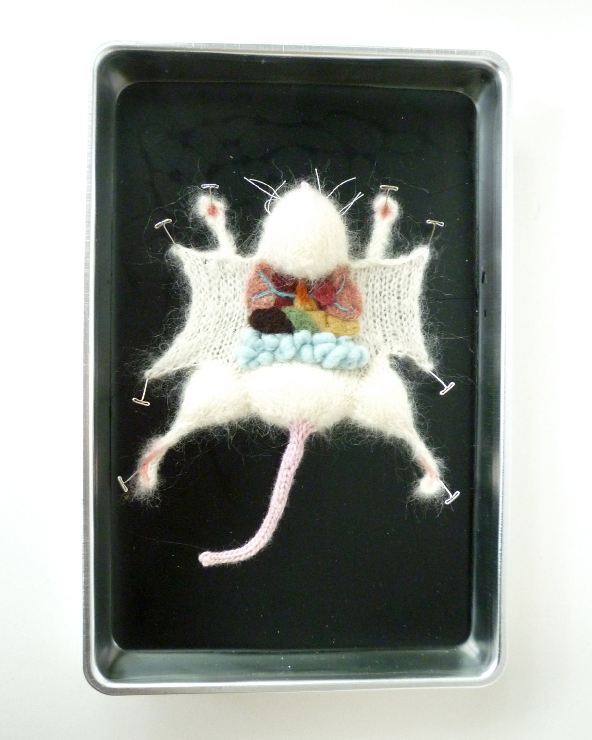 Knitted Lab Rat in an actual dissection tray