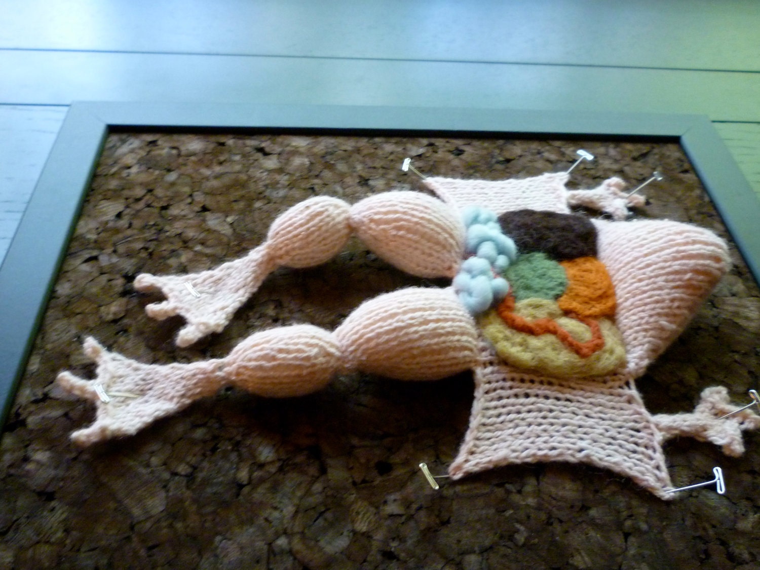 READY TO SHIP Knitted Dissected Frog