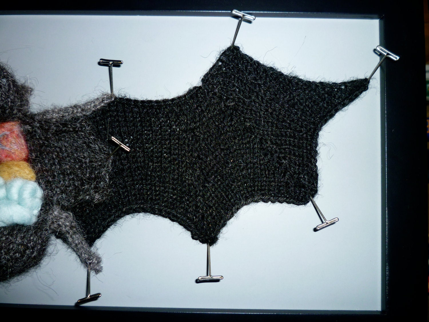 Knitted Dissected Bat Specimen PDF Pattern