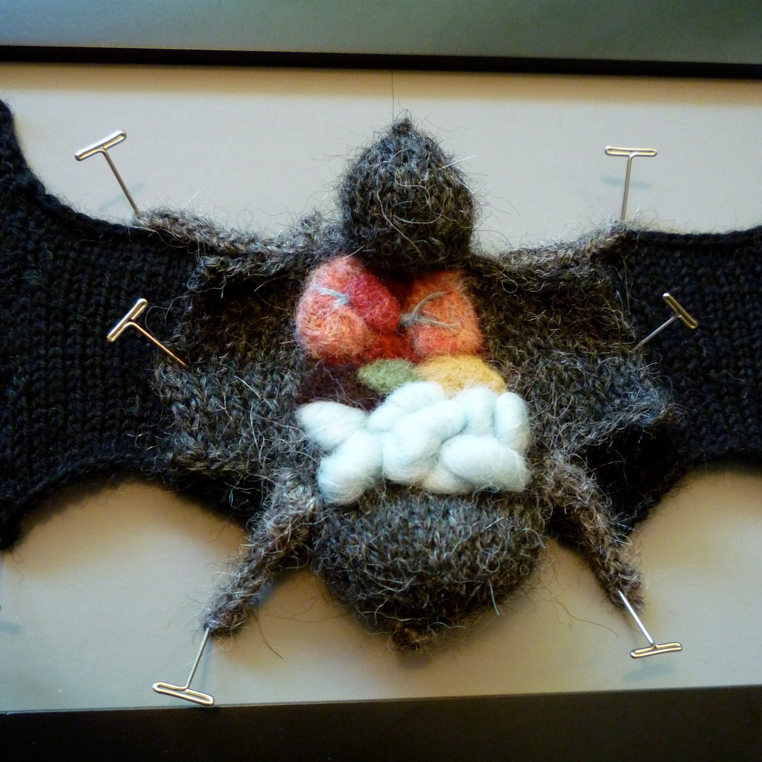 Knitted Dissected Bat Specimen PDF Pattern
