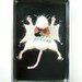 Knitted Lab Rat in an actual dissection tray