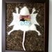 Knitted Lab Rat, dark cork background