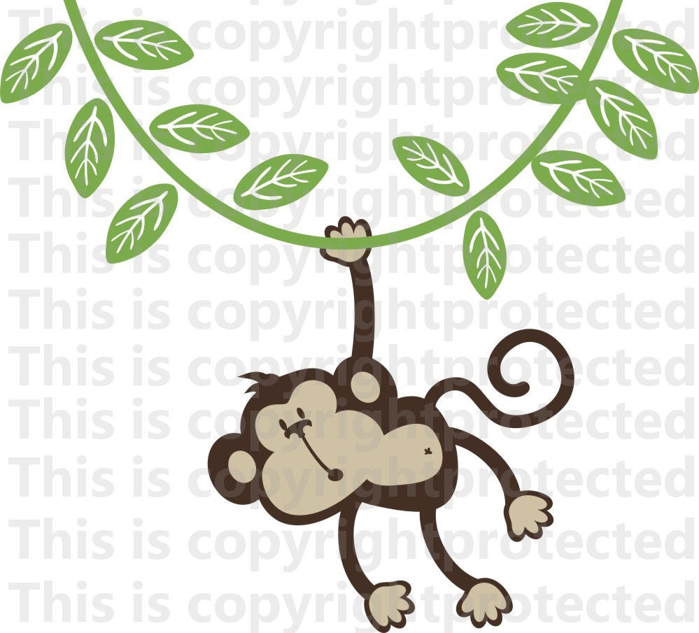 Happy Monkey Pics