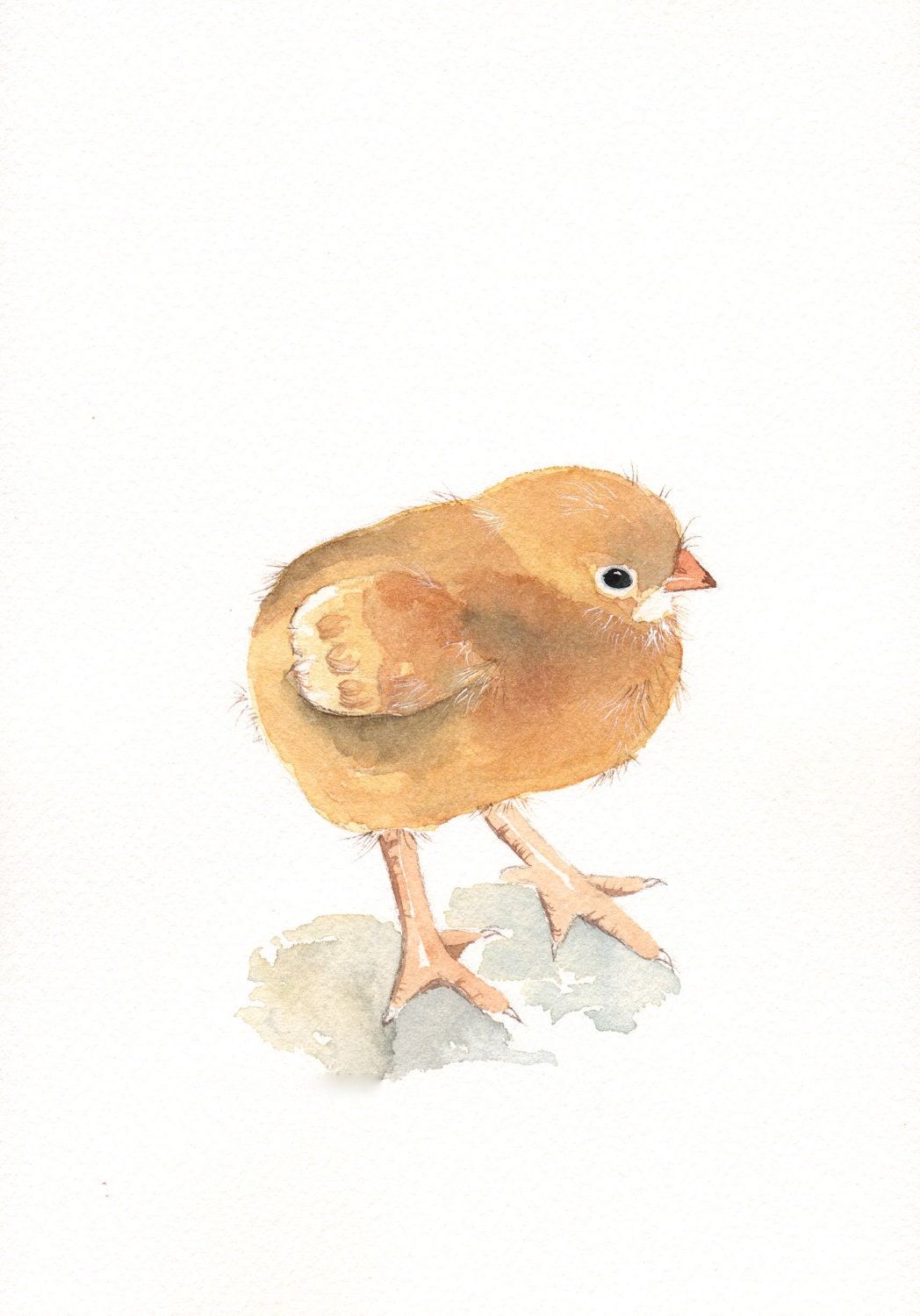 Chicken baby painting- print of watercolor painting 5 by 7 print