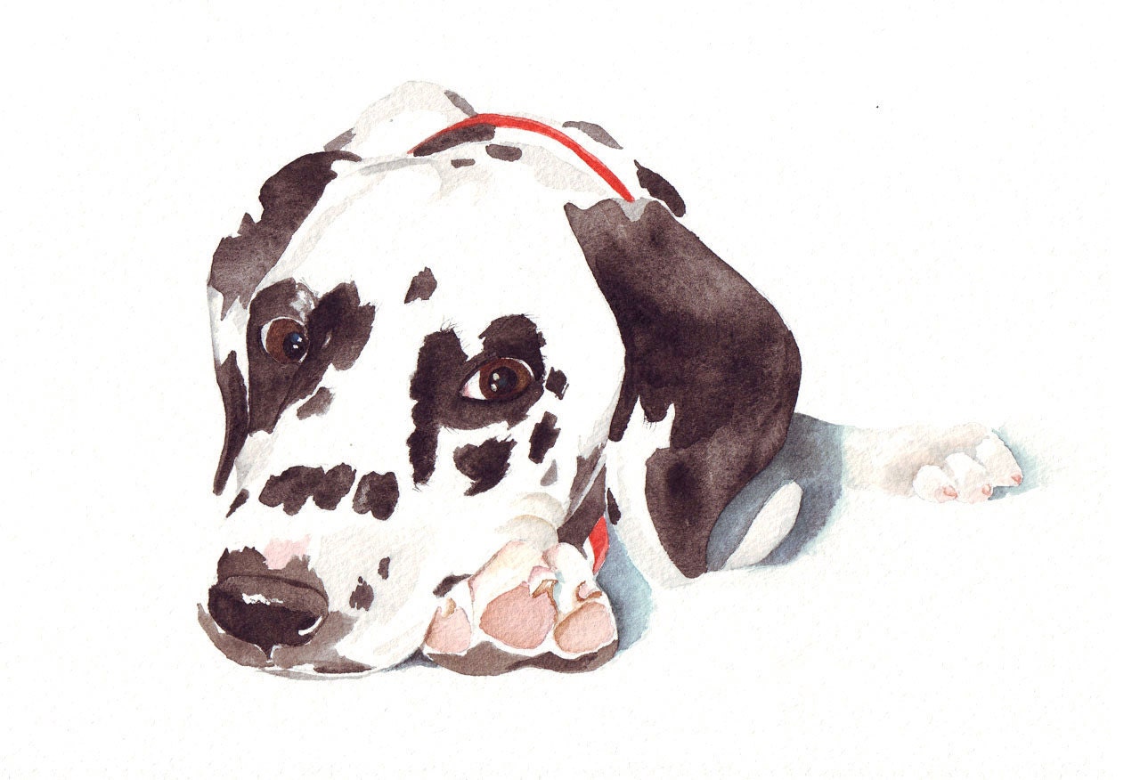 Dalmatian Dog Painting -  Print of watercolor painting 5 by 7 print