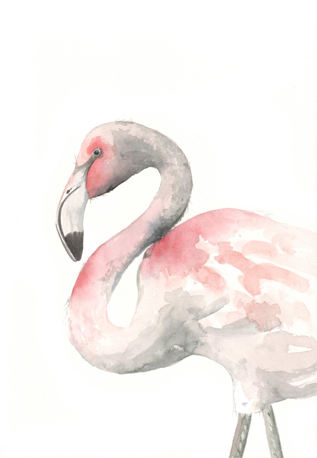 Flamingo Painting -F075 watercolor painting bird wildlife nature art pink - Archival print of watercolor painting 5 by 7 print