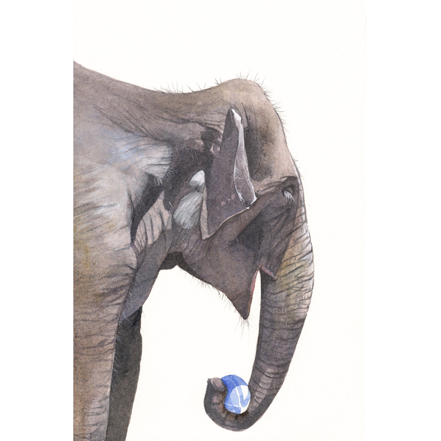 Elephant painting  E058 watercolor painting wildlife animal nature art - print of watercolor painting A4 print