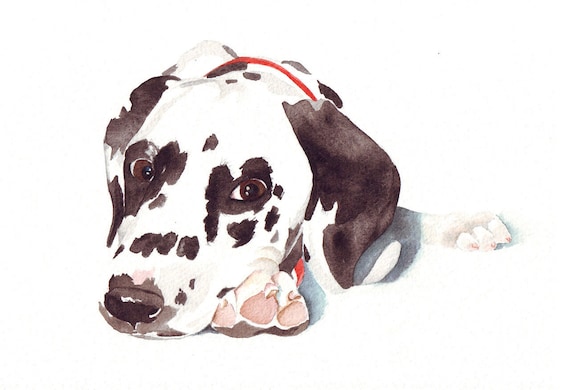 Dalmatian Dog Painting - Print of watercolor painting 5 by 7 print
