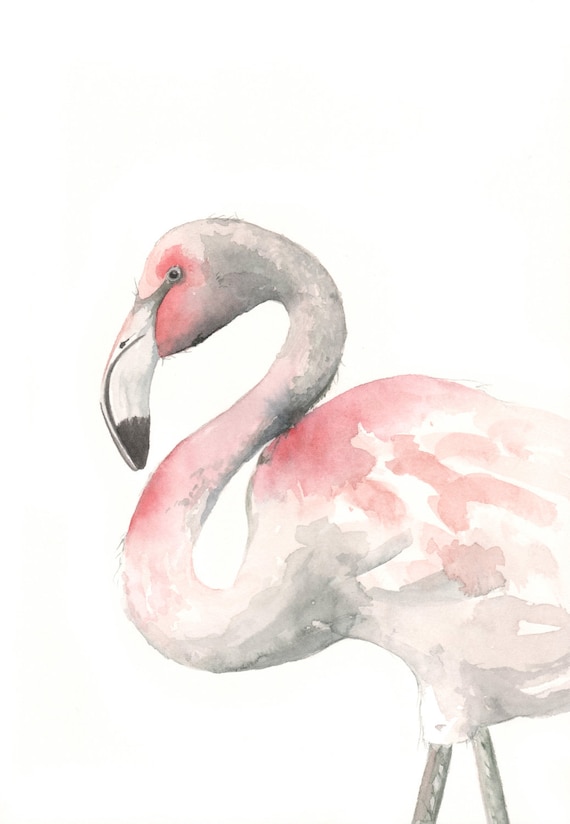 Flamingo Painting -F075 watercolor painting bird wildlife nature art pink - Archival print of watercolor painting 5 by 7 print