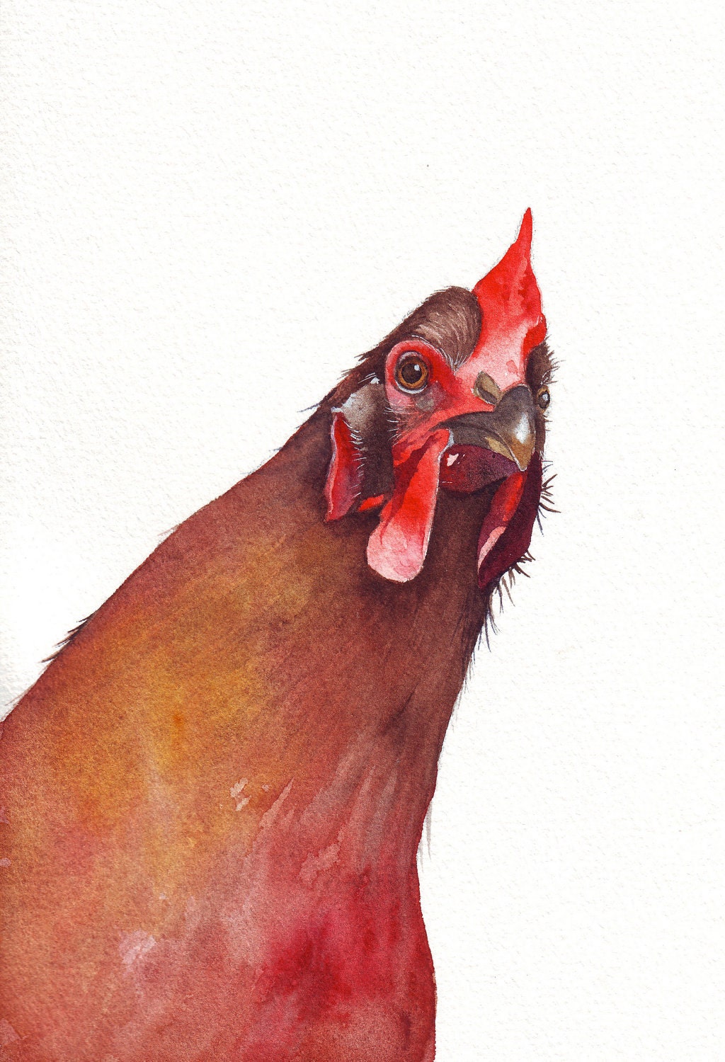 Chicken Painting - country rustic urban homestead natural decor -  Print of watercolor painting - 5 by 7 print
