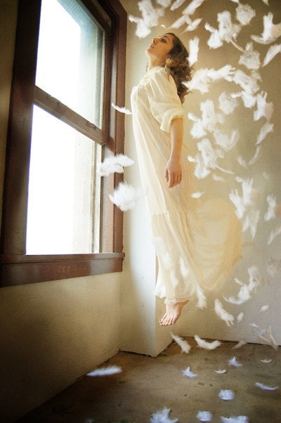 The Swan Escapes - Sarah Allegra Artistry Fine Art Print - Medium Size 10x15