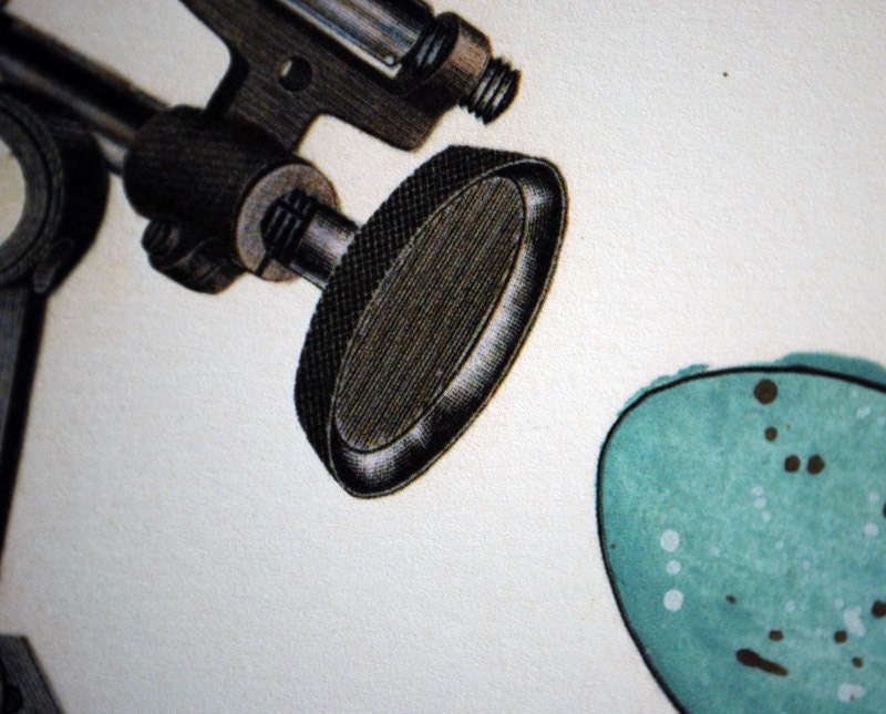 Egg Series no.13, Collage, limited edition Fine Art Print, Robins Egg & Industrial, Mechanical, Machinery, Steampunk - Free Shipping