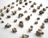 48 River Pebble Beads - Naturally Perforated - Dirty White Beach Stones