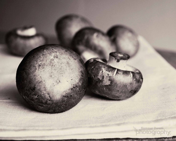 Food Photography - Black and White Still Life Mushroom Photo - 8x10 Fine Art Photography
