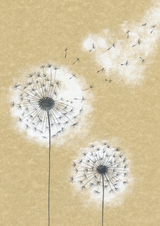 Dandelion