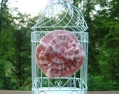 Gift Card Holder Box Wedding White Pink