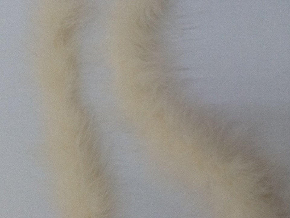 Marabou Boa 2 yards long - Ivory img