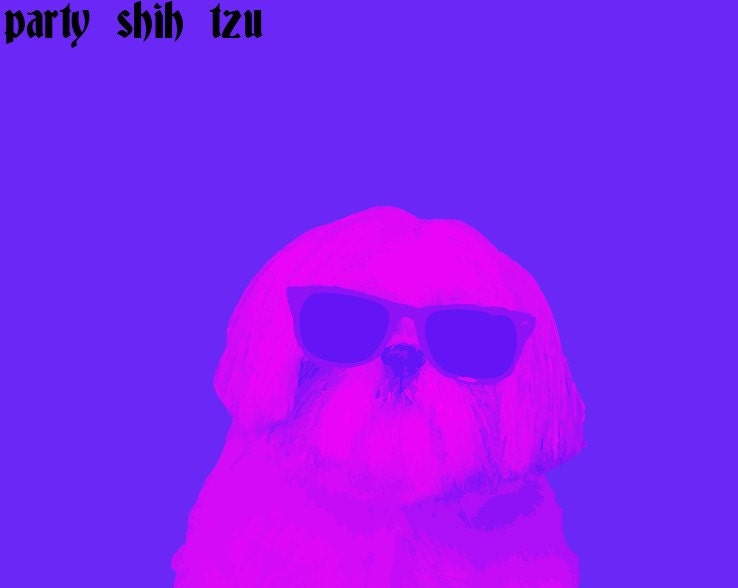 Dog Art Dog Print Animal Illustration Party Animal Shih Tzu Sunglasses