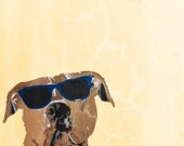 Dog Print Animal Portrait Pet Art Sunglasses Pitbull Dog Art