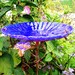 BIRTHDAY Gift, Garden BIRD BATH, Bird Feeder, stained glass, fused glass, copper art, Cobalt Blue, Suncatcher
