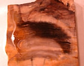 Petrified Wood Slab Slice Chunk Piece 1, Six Pounds - driftingby
