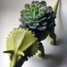 Moss Green Dinosaur Planter - Modern Centerpiece ( 8 WEEK DELIVERY)