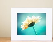 Matted PRINT SALE - 40% OFF - flower photography clearance aqua decor turquoise - blue teal art photo wall art - Ready for 11x14 frame