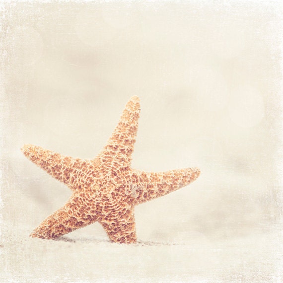 Beach Photography - beach photograph starfish sand cottage seashore sea shore fine art photo cream white beige wall art - 8x8 Photograph