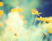 Flower Photography - green art print botanical wall art decor navy yellow daisies fine art photo - 8x12, 8x10 Photograph, "In the Meadow"