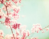 Flower Photography - spring pink red mint green light blue aqua white floral art picture botanical wall art, 5x7 Photograph, "Ode to Spring"