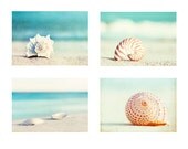 Beach Photography Set - Four 5x7 Photographs - seashell sea shell photo print - seashore shore decor turquoise - aqua teal blue wall art