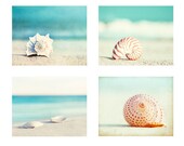 Seashell Beach Photography Set - Four 8x10 Beach Photographs - 4 beach print set - aqua blue teal - shells ocean conch - beach seashore