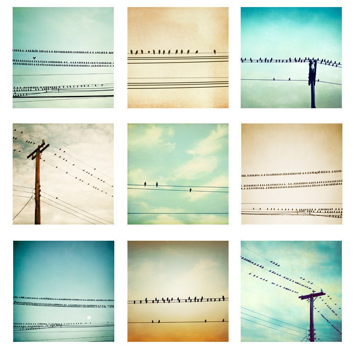 Bird on Wire Photo Set - Nine 5x5 Photographs - nursery print set - teal aqua sky blue pale - fine art photography - childrens room wall art