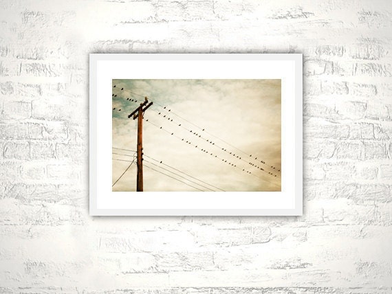 Fine Art Photography - birds on wire print beige cream light brown photo telephone pole wall art - 8x12 Photograph, "Enjoying the Moment"