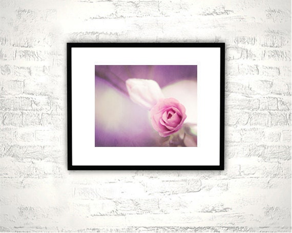 Flower Photography - rose pink photo purple wall art floral print nature white purple - 8x10 Fine Art Photograph - "My Love for You"
