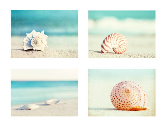 Beach Photography Set - Four 5x7 Photographs - seashell sea shell photo print - seashore shore decor turquoise - aqua teal blue wall art
