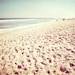 Beach Photography Set - Four 5x7 Photographs - ocean seashell photo prints - mint green turquoise cream pastel beige - seashore wall art