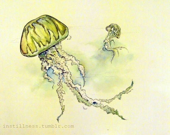 Jellyfish Drawing