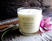 Organic/Natural  HAWAIIAN PLUMERIA  Coconut Wax Candle Essential Oils All Natural 10 oz.